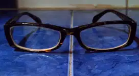 Kacamata Levi's leopard