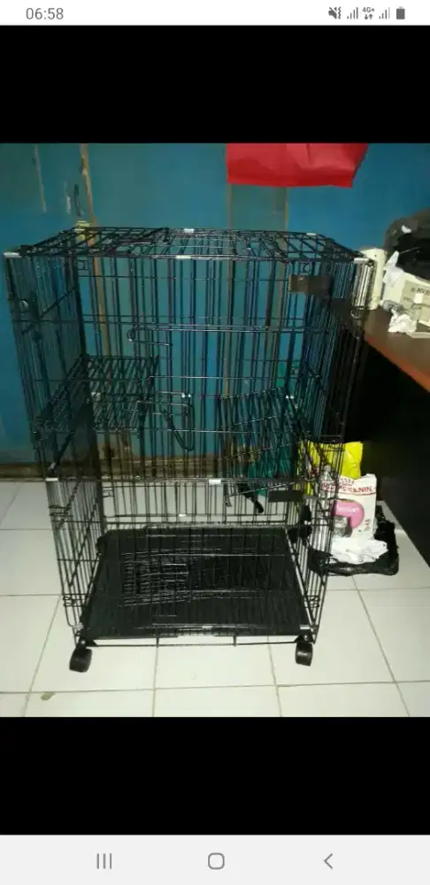 Perlengkapan hewan kaki 4