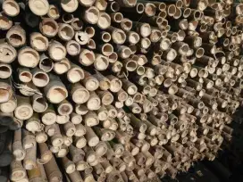 Jual bambu tiang bendera,cor,stger,dll diantar