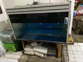 Aquarium Ikan /Akuarium