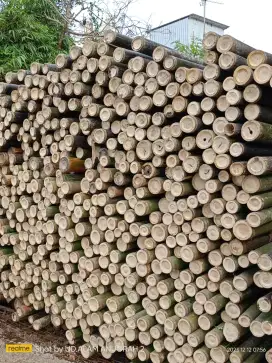 Jual bambu steger, dan kaso 5x10