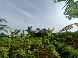 TANAH 225 M  Tempat usaha Kost