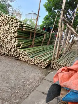 Jual bambu steger dan Dolken dan kayu