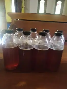 Madu trigona klanceng perbotol 1 liter