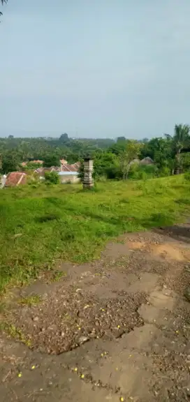 Tanah di Kayuputih 7 menit dari Pantai Lovina Bali