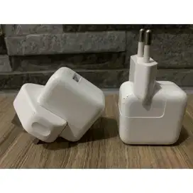 charger ipad 12w