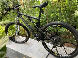 Santa Cruz Blur M