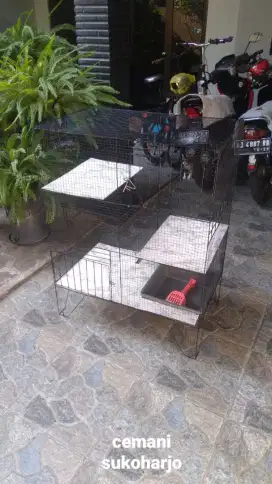 Kandang kucing tingakat