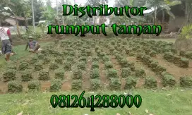 Distributor rumput