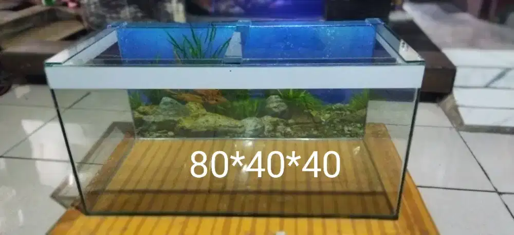 Aquarium 80*40*40