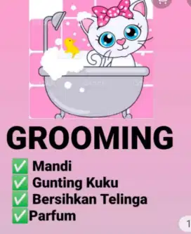 Jasa grooming kucing panggilan