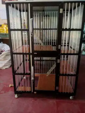Kandang kucing bukit duri 5