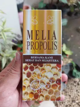 MELIA PROPOLIS 30 ml  original 100% asli