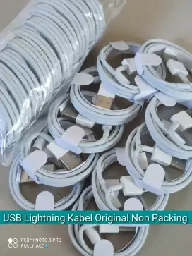 Aneka macam kabel iPhone 4 5 6 7 8 11 Original Lightning iPad 1 2