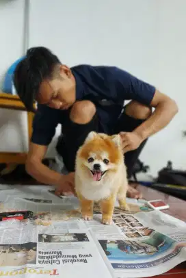 Loker lowongan kerja pet groomer grumer mobile keliling berpengalaman