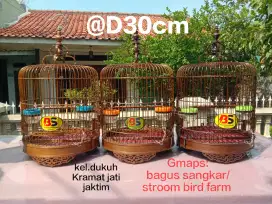 Sangkar bambu wamin Robin dan burcil
