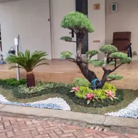 Jual rumput taman & tukang bikin taman
