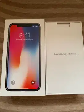 Apple iPhone X 256 iBox