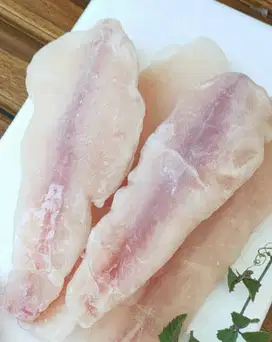 Fillet Dori TERLARIS