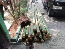 Jual bambu steger 7/8