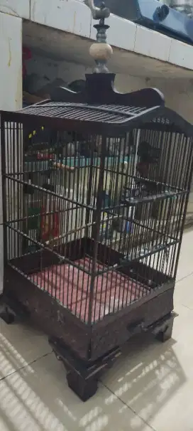 Kandang burung sedang