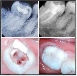Dental House Tomang, Praktek Dokter Gigi Spesialis Keluarga