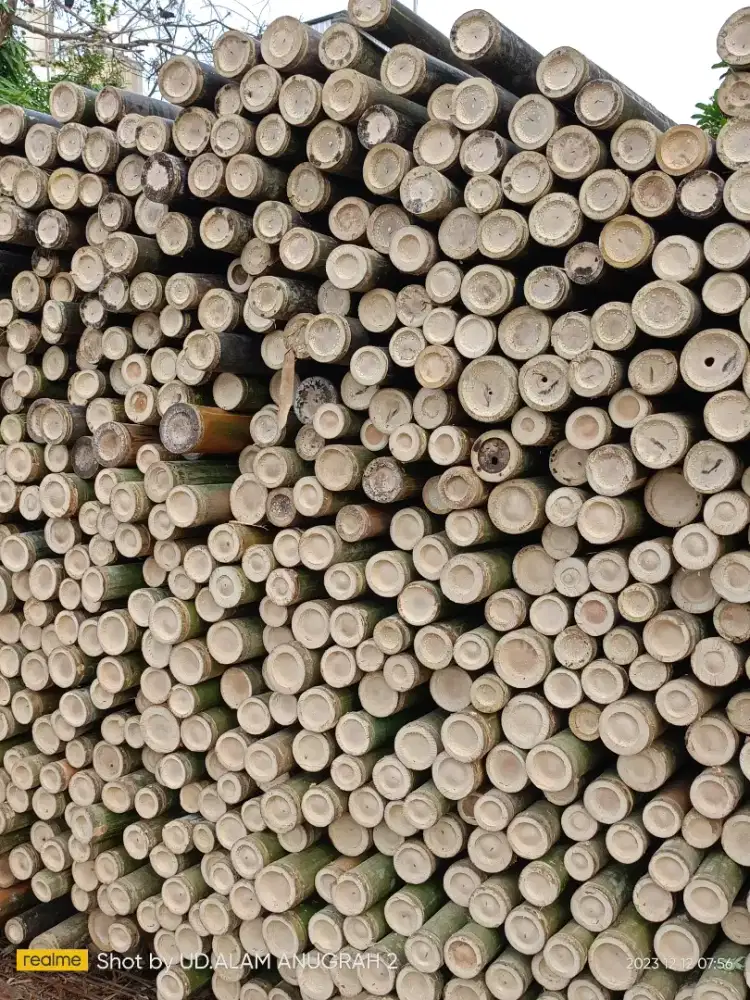 Jual bambu steger jumbo 10/12