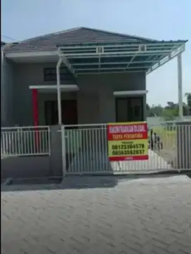 Rumah Dikontrakkan/Dijual