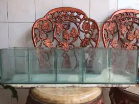 Akuarium/aquarium ikan hias/ikan cupang