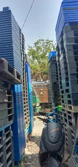 Palet plastik bekas impor kuat
