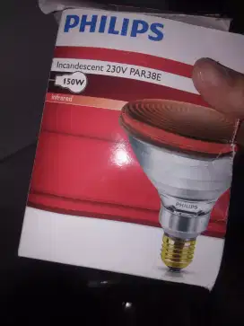lampu untuk meja