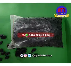 Batu Coral Hitam / Batu Hias