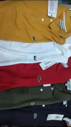 Kaos Kerah Lacoste Asli