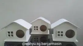 Rumah hamster mini winter white roborovsky