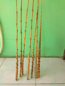 Bambu cendani lajur bahan joran mancing