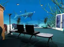 Printing Wallpaper, Photowall, Custom Wallpaper