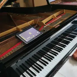 Stem Piano Tune Up Piano Tuning