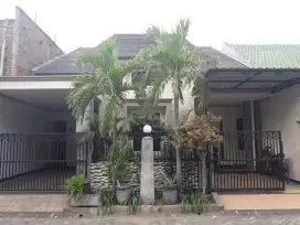 ‼️Bangun dari NOL‼️ Rumah Minimalis d Rewwin - Deltasari Pondok Candra