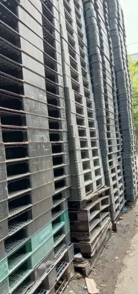 Palet plastik normal
