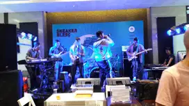 Sewa Sound System untuk keperluan Event dan Wedding wilayah Tangerang