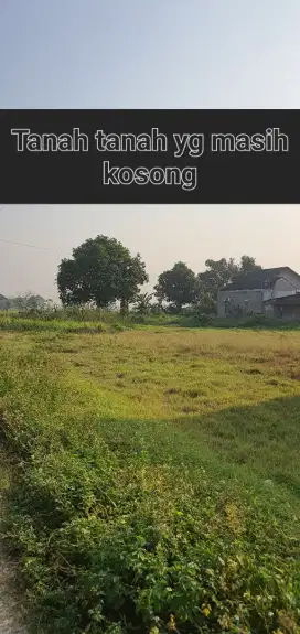 Jual Tanah kavlingan