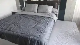 DISEWAKAN ALTON APARTEMENT MAHASISWA. DEKAT UNDIP TEMBALANG