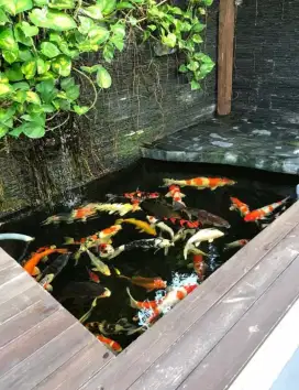 Kolam koi konsep minimalis