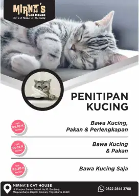 Penitipan Kucing Jogja