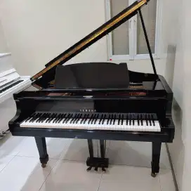 Grand Piano Yamaha