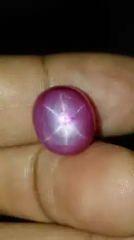 ruby burma star 13 carats permata merah delima natural harga pas net