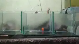 filter talang filter kaca lokasi kedoya