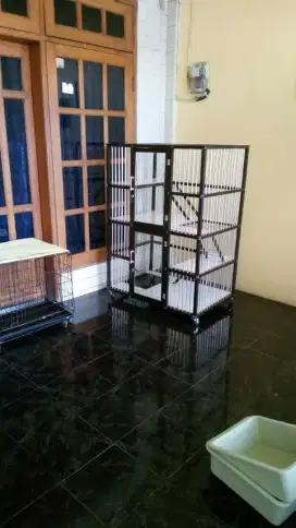 Kandang kucing anggora