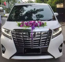 Rental Alphard Vellfire wedding Jakarta Tangerang Bekasi Depok Pluit