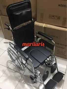 Kursi Roda 3 in 1 Gea FS609GC BARU dan MURAH